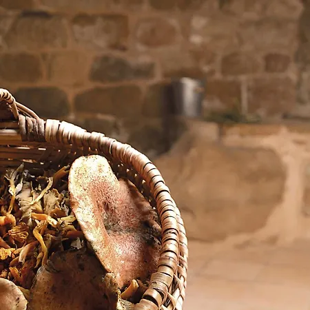 Patio Con Barbacoa: Disfruta Del Matarrana アパート Lledó