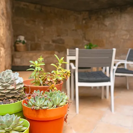 Patio Con Barbacoa En Casa De Letras * Lledo