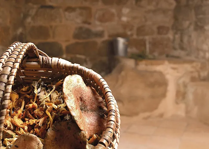 Patio Con Barbacoa Disfruta Del Matarrana Lägenhet Lledo